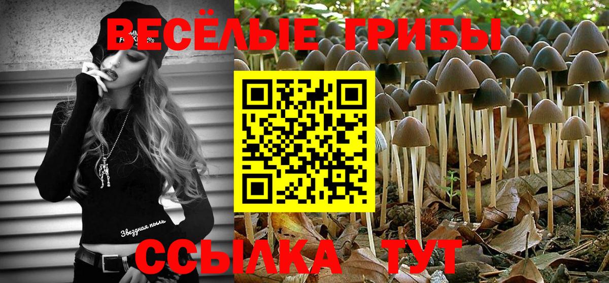 Галлюциногенные грибы MAGIC MUSHROOMS Донецк